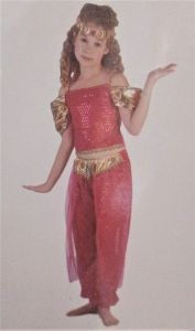 Kids Costumes to Hire - Arabian Harem Dancer - 5 Years 